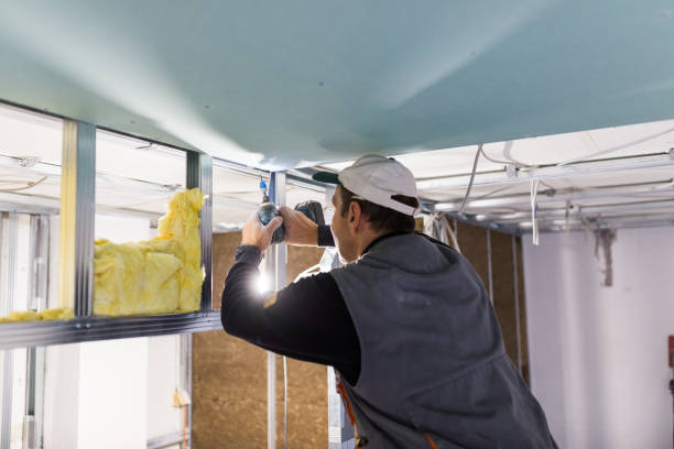 Best Commercial Insulation in Grand Saline, TX