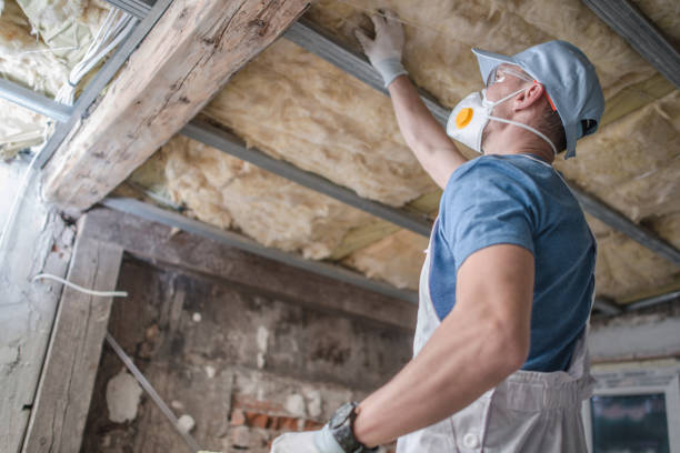 Best Insulation Maintenance and Repair in Grand Saline, TX
